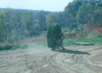 img045a.jpg