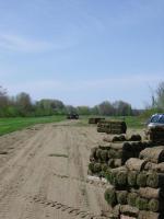 much_sod_2009_003.jpg