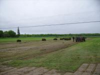 much_sod_2009_004.jpg