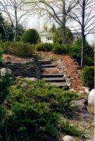 img014.jpg